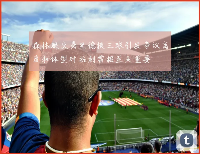森林狼交易里德换三球引发争议高度和体型对抗刺雷掘至关重要