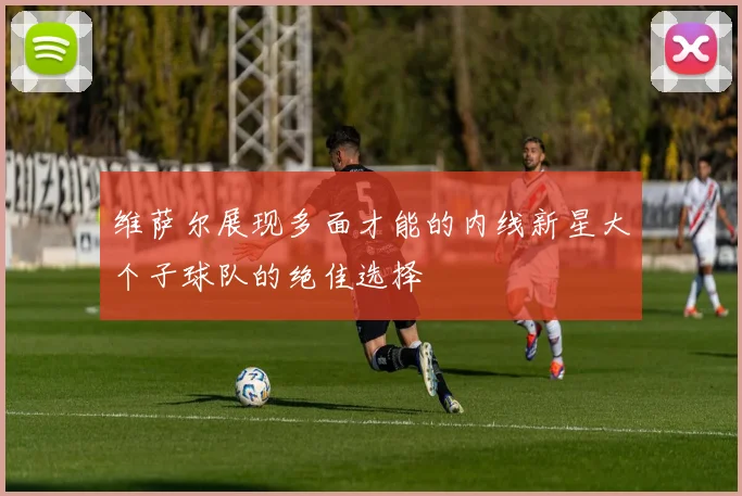 维萨尔展现多面才能的内线新星大个子球队的绝佳选择